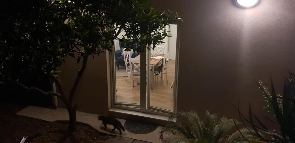 Апартаменты Garden apartmant near sea *NEW Котор-32