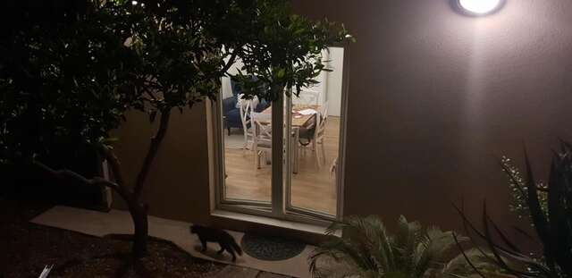 Апартаменты Garden apartmant near sea *NEW Котор-17