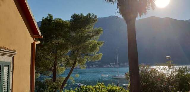 Апартаменты Garden apartmant near sea *NEW Котор-34